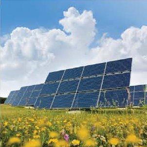 Solar park with panels in a flowering field